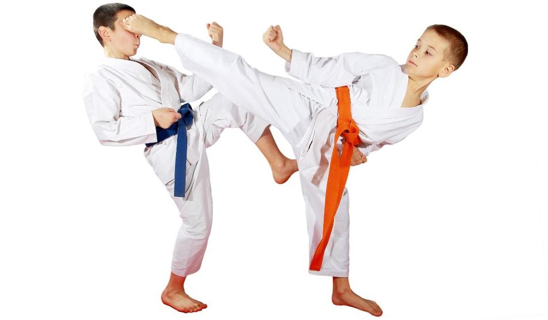 Inscriere curs karate sanpetru