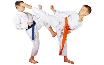 Inscriere curs karate sanpetru